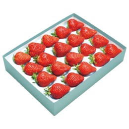 福岡県産 あまおう 16～20粒【お届け時期：12月中旬～12月下旬】