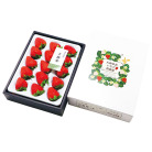 奈良県産 古都華いちご 12～18粒【お届け時期：12月10日頃～12月下旬頃】