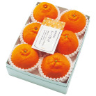 熊本県産 でこぽん 5～6玉【お届け時期：12月10日頃～12月25日頃】