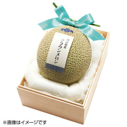 静岡県産 クラウン印マスクメロン 1.2kg×2玉【お届け時期：11月中旬より順次】