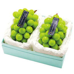 長野県産 シャインマスカット 2房900g【お届け時期：11月中旬～12月25日頃】