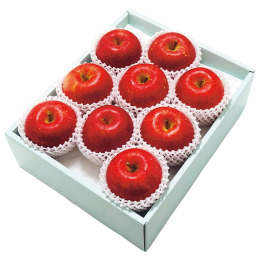 青森県産 サンふじ 9～11玉【お届け時期：12月上旬～12月下旬】