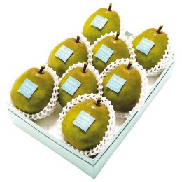 山形県産 ラ・フランス 8玉【お届け時期：11月下旬～12月下旬】