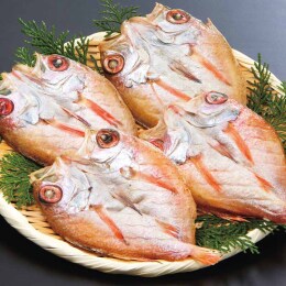 島根 和田珍味 のどぐろ一夜干〈N55A〉