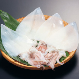 島根 和田珍味 白いか一夜干〈S50A〉