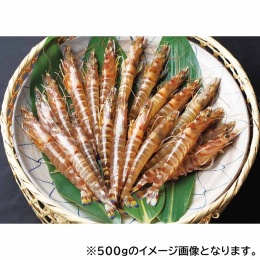 熊本県産 活き車海老340g