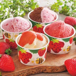 博多あまおうのこだわりアイス〈AH-ABR〉