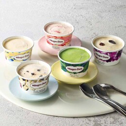 ハーゲンダッツ アイスクリーム詰合せ〈HD50A〉