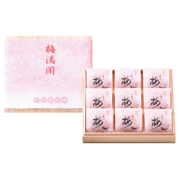 紀州四季の梅 梅満開9粒