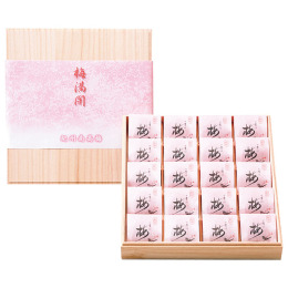 紀州四季の梅 梅満開20粒