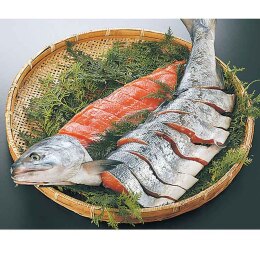 釧路 阿部商店 秋鮭（姿切り身）