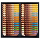 AGF ブレンディカフェラトリースティックプレミアムギフト〈CPS-30A〉