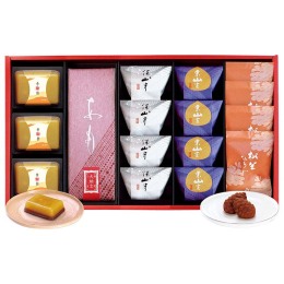 叶 匠壽庵 冬ハレ 匠〈AGF-50〉