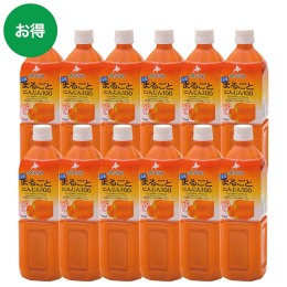 北海道 まるごとにんじん100 900ml