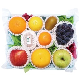 フルーツ詰合せ