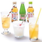 瀬戸内のサイダー詰め合わせ12本入り
