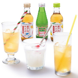 瀬戸内のサイダー詰め合わせ12本入り