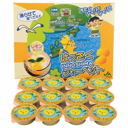 因島のはっさくシャーベット