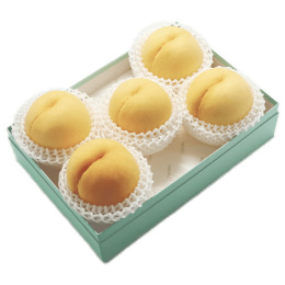 岡山産 岡山白桃 5玉【お届け時期：7月5日頃～8月上旬】