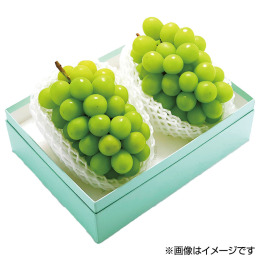 広島産 シャインマスカット 1房【お届け時期：7月下旬～8月上旬】