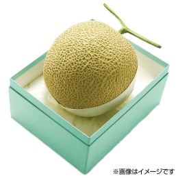 北海道産 富良野メロン 2玉【お届け時期：7月10日頃～8月5日頃】