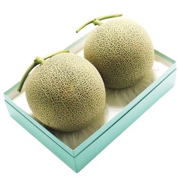 北海道産 赤肉メロン 2玉【お届け時期：7月上旬～8月5日頃】