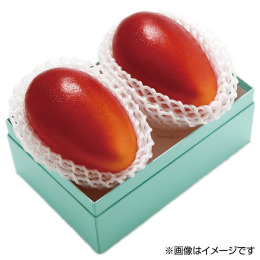 宮崎産 完熟マンゴー 1玉【お届け時期：6月下旬～7月下旬】