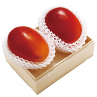 宮崎産 完熟マンゴー（太陽のたまご） 2L×2玉【お届け時期：6月下旬～7月20日頃】