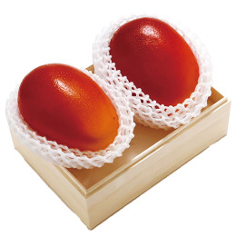宮崎産 完熟マンゴー（太陽のたまご） 2L×2玉【お届け時期：6月下旬～7月20日頃】