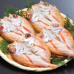 島根 和田珍味 のどぐろ一夜干〈N55A〉