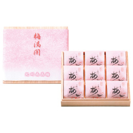 紀州四季の梅 梅満開9粒