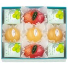 宗家 源 吉兆庵　源 吉兆庵の夏菓撰〈ON-30〉