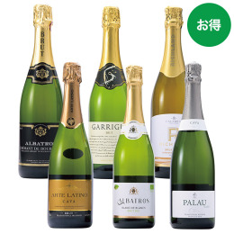 スパークリング6本セット〈V-FUKU93〉
