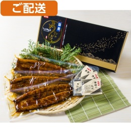 【鹿児島「薩摩川内鰻」】鹿児島県産うなぎ蒲焼（特大）3尾