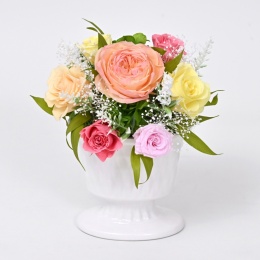 【パレフローラ】プリザーブドフラワー　ベーシックアレンジ