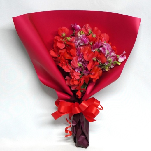 カープ×日南スイートピーの花束（30本入）