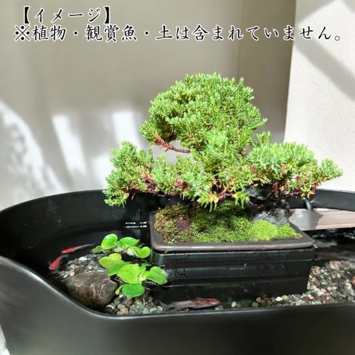 Wabisabi.jp】侘水景（Wabisuke） - 福屋オンラインストア