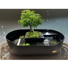 【Wabisabi.jp】侘水景（Wabisuke）＆　寂州景（Sabisuke）セット