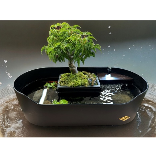 Wabisabi.jp】侘水景（Wabisuke）＆ 寂州景（Sabisuke）セット - 福屋