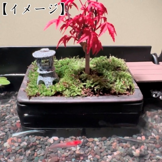 Wabisabi.jp】侘水景（Wabisuke）＆ 寂州景（Sabisuke）セット - 福屋