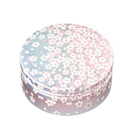 【スチームクリーム】空桜