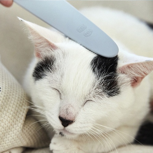 ワタオカ】ねこじゃすり - 福屋オンラインストア