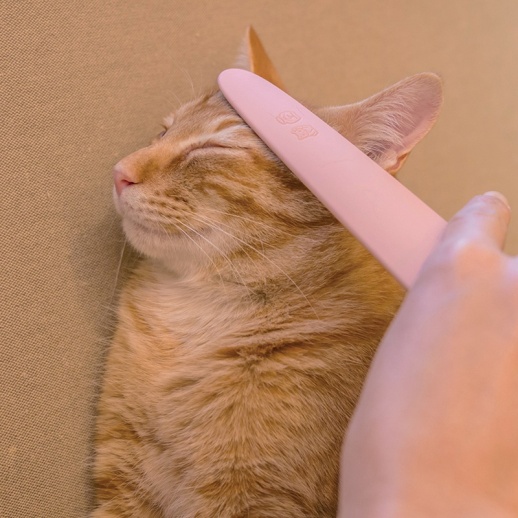 ワタオカ】ねこじゃすり - 福屋オンラインストア