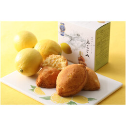 【島ごころ】瀬戸田レモンケーキ 「島ごころ」　3個入