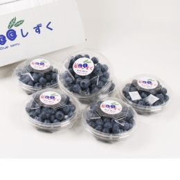 和歌山産　ブルーベリー「夏のしずく」【お届け：６月中旬～７月下旬頃順次】
