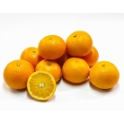 【フルーツなかむら】紅八朔　８玉