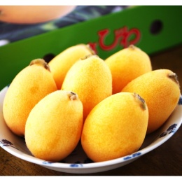 【フルーツなかむら】茂木びわ　※4月上旬から順次発送