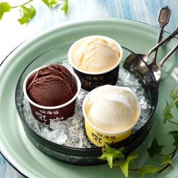 【乳蔵】北海道アイスクリーム3種　9個