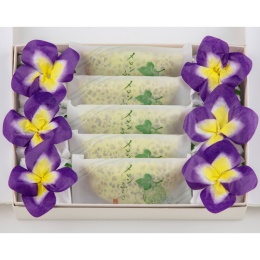 【宗家 源 吉兆庵】菖蒲餅・メロンふくさ詰合せ