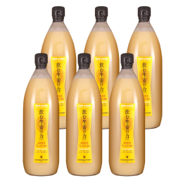 【セゾンファクトリー】飲む生姜の力　6本セット